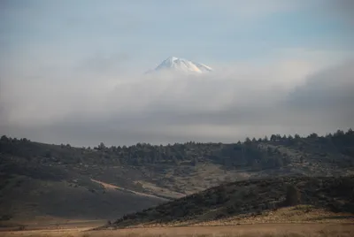 DSC_0049 (Large).JPG